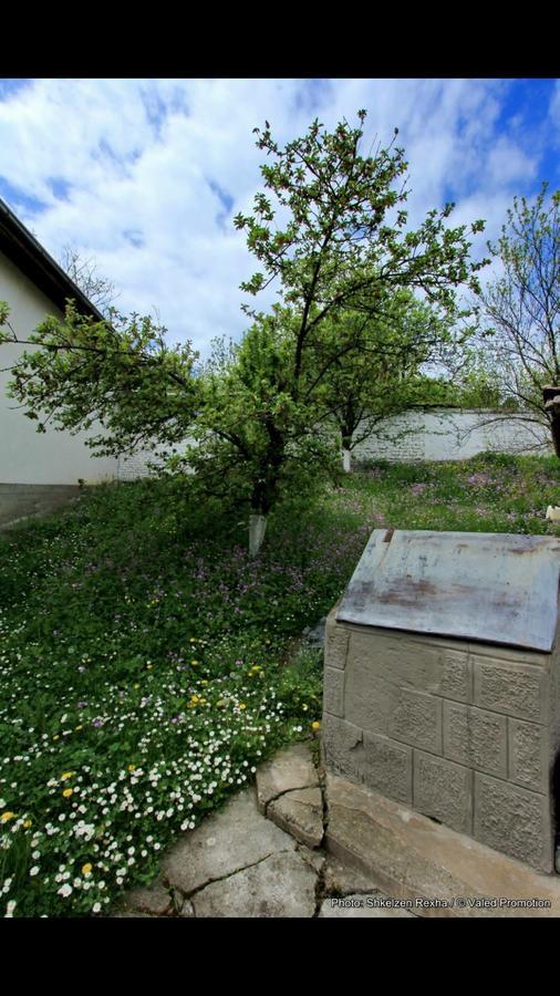 Bed and Breakfast Bujtina Zhaveli Gjakova Exterior foto